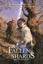Fallen Shards by Michael S. Jackson